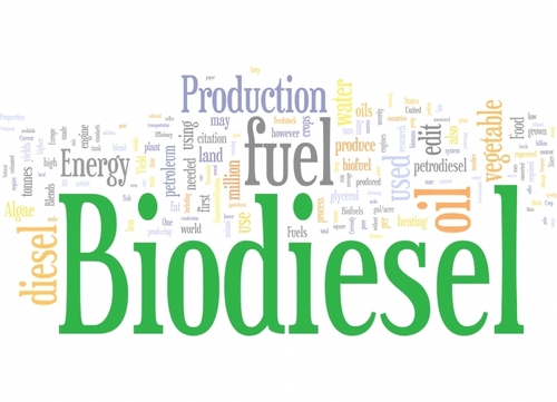 Bio Diesel