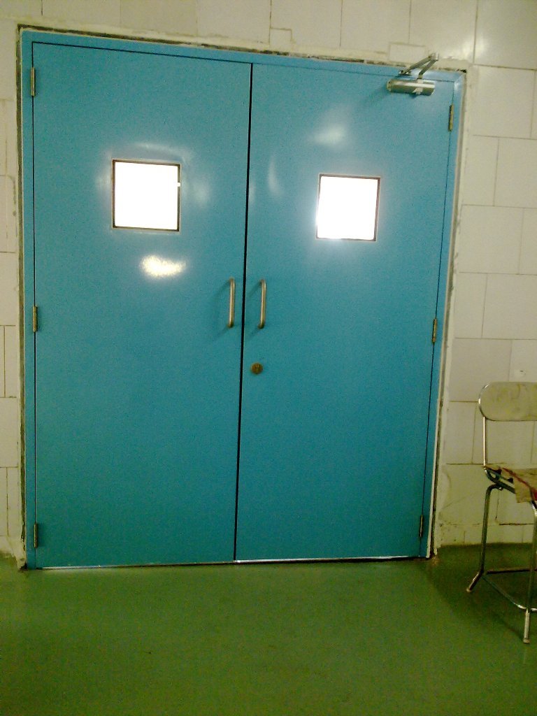 Cleanroom Flush Door - Application: Industrial
