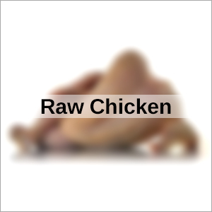 कच्चा चिकन