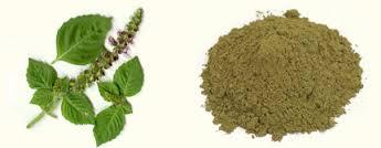 Tulsi Leaf Powder