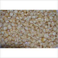 भारतीय सफेद मक्का