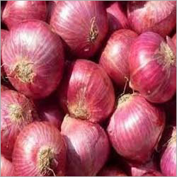 लाल प्याज