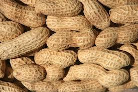Raw Peanut Kernel