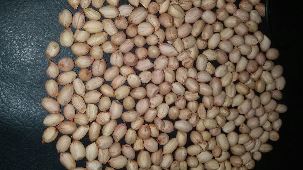 Raw Peanut Kernel