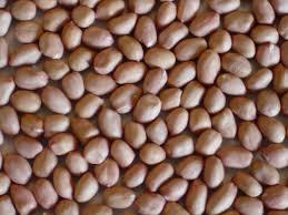 Raw Peanut Kernel