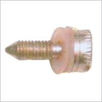 SS Screw