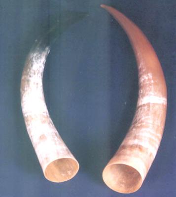 सींग सजावटी वस्तु