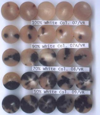 भैंस और गाय के सींग के बटन