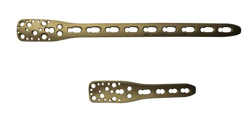 CP PHILOS LONG/SHORT