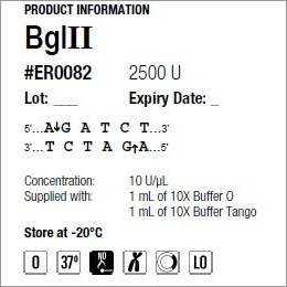 Bgl II एंजाइम