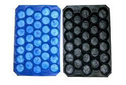 फल पैकेजिंग थर्मोफॉर्मेड ट्रे