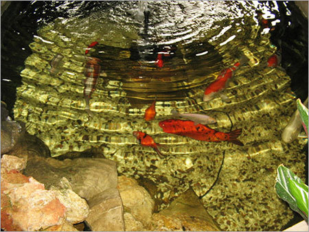 कस्टम साइज़ पूल लाइनर