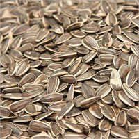 Sunflower Seeds