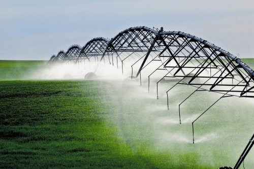 स्प्रिंकलर बागवानी