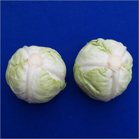 Fresh Cabbage