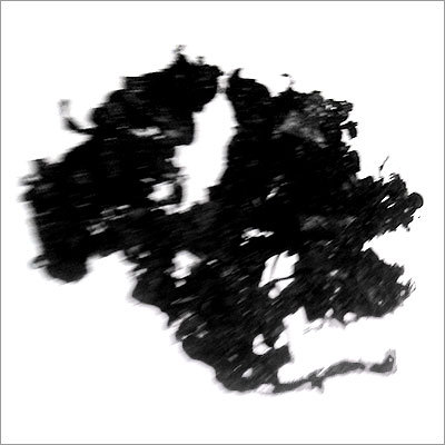 सूखे कटलफिश के कचरे