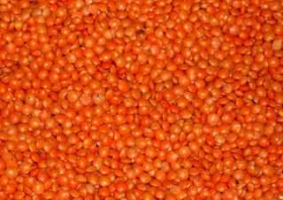 Masoor Dal