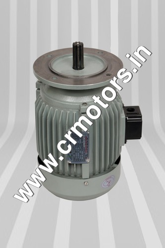 Cast Iron 0.5Hp Aerator Motor