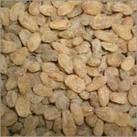 किश्मिश