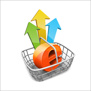 B2B Portal Development