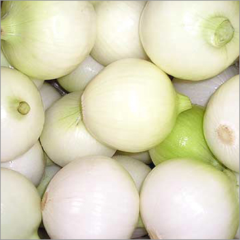 सफेद प्याज