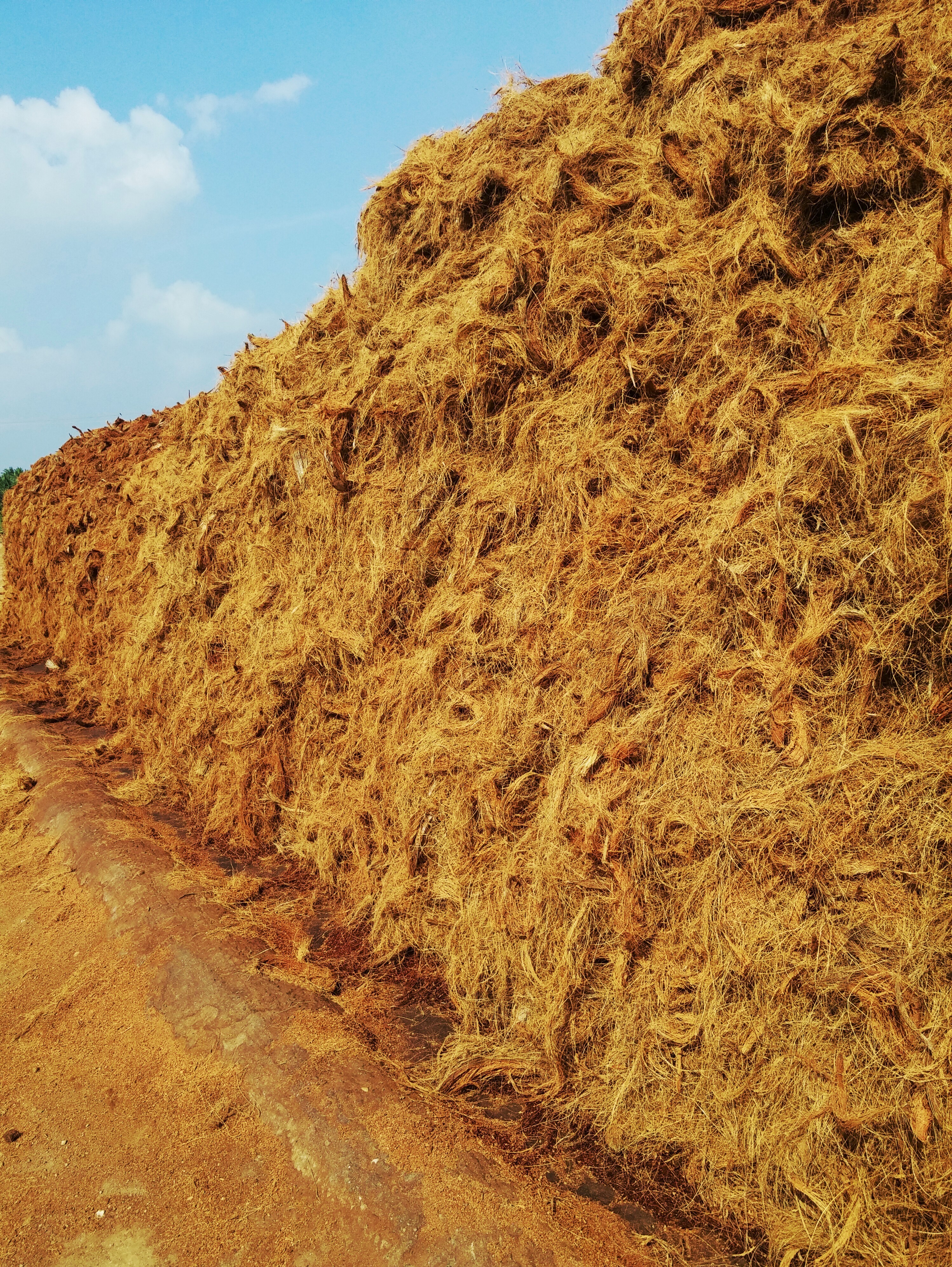 Coco Peat - Coconut Husk Material, Bulk Density 100-150 Kg/m3, Ph 5.5-6.5 | Aeration, Biodegradable, Easy To Use, Nutrient Rich, Water Retention