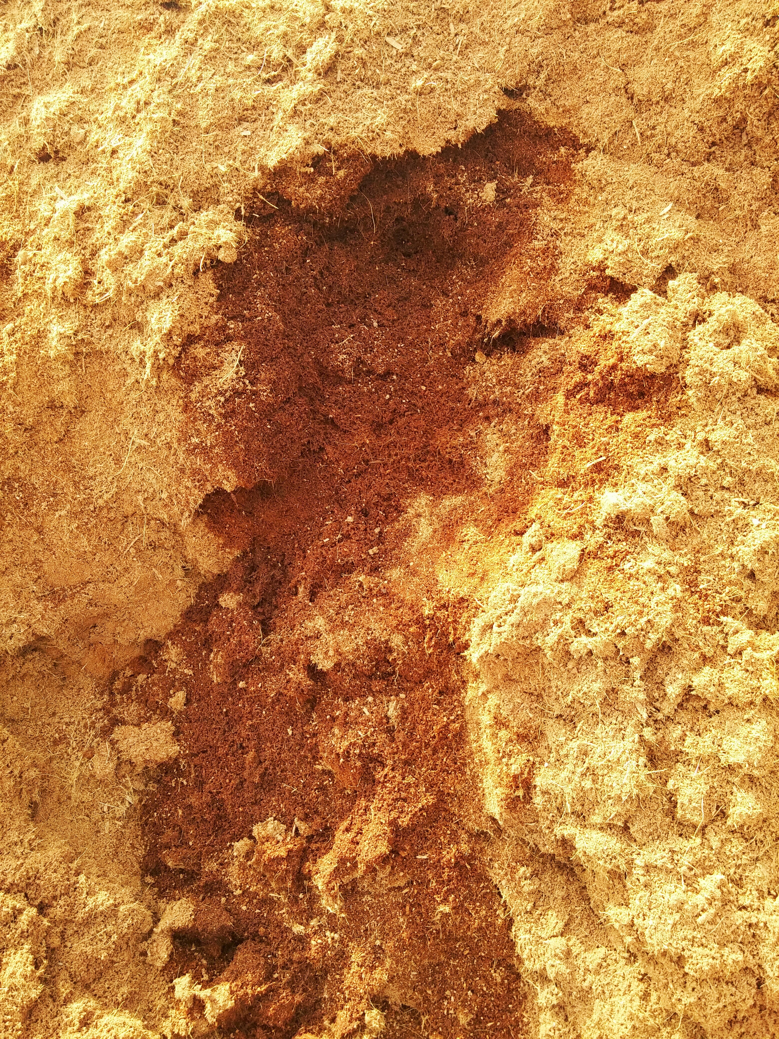 Coco Peat - Coconut Husk Material, Bulk Density 100-150 Kg/m3, Ph 5.5-6.5 | Aeration, Biodegradable, Easy To Use, Nutrient Rich, Water Retention