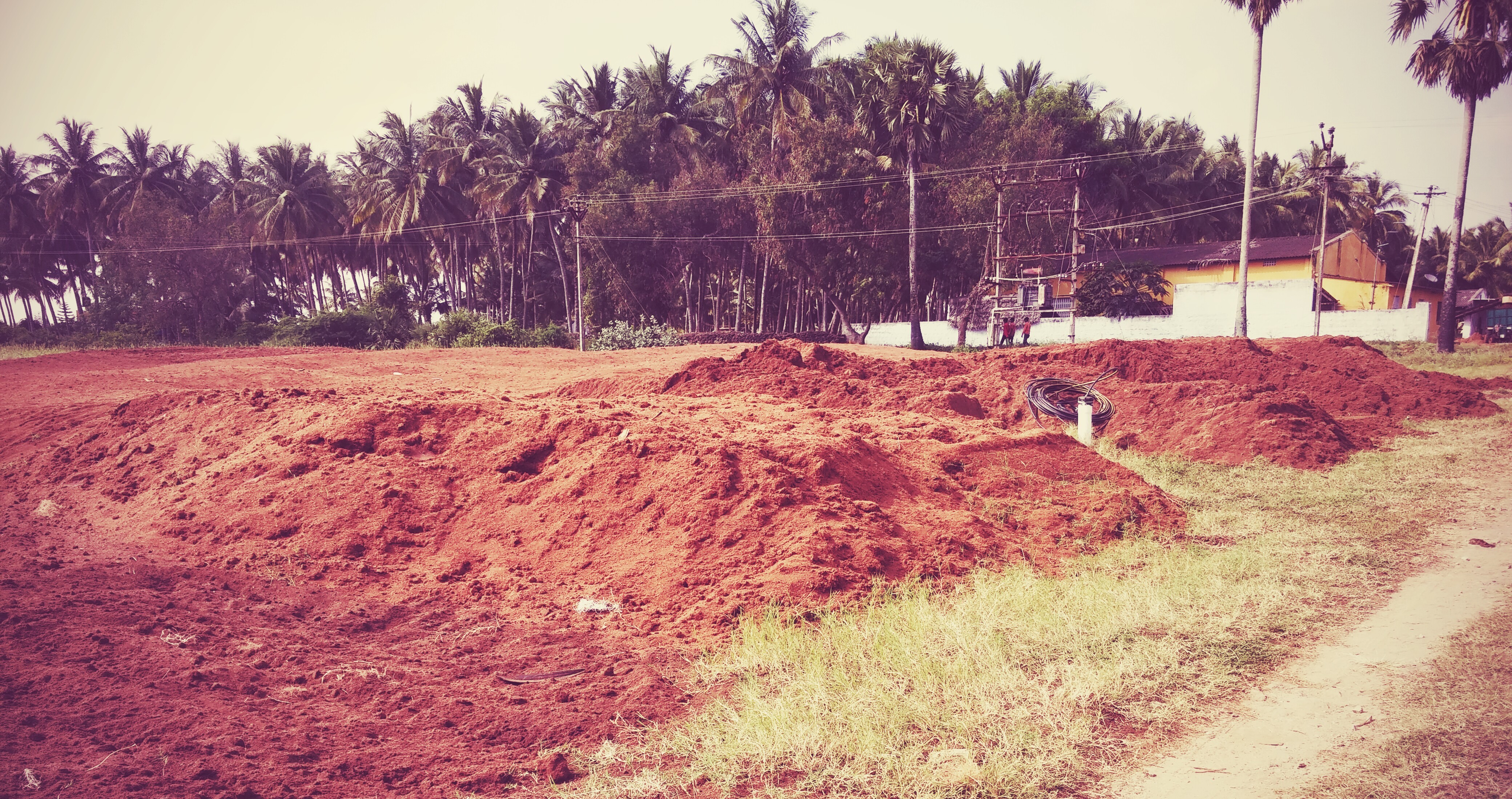 Coco Peat - Coconut Husk Material, Bulk Density 100-150 Kg/m3, Ph 5.5-6.5 | Aeration, Biodegradable, Easy To Use, Nutrient Rich, Water Retention