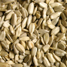 Sunflower Seeds