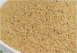 Amaranth Seeds