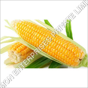 Yellow Corn