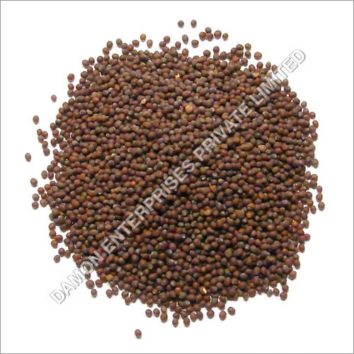 Brown Mustard Seed