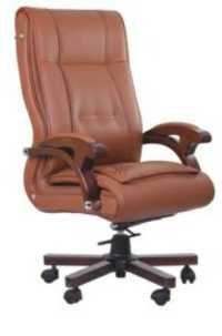 कार्यकारी अध्यक्ष