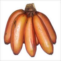 ताजा केला