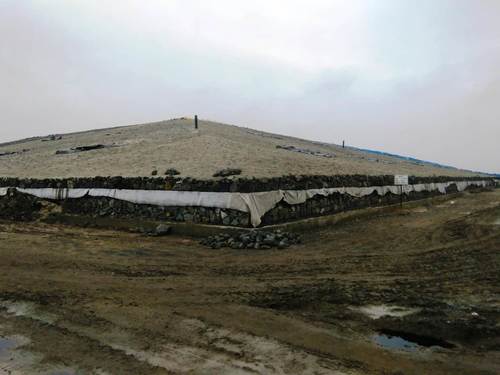 Plant Construction Services