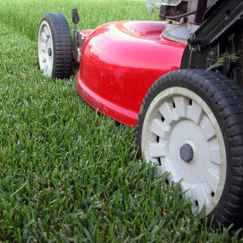 उद्यान रखरखाव सेवाएं