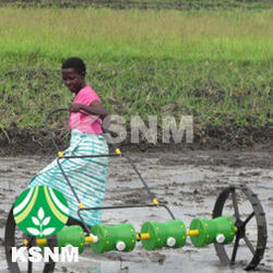 Direct Paddy Seeder / 25 X 25 Cm / 8 Rows - Color: Green