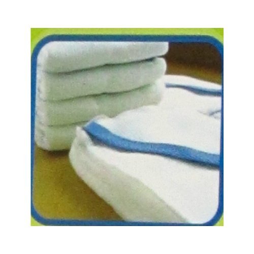 पेट का स्पंज