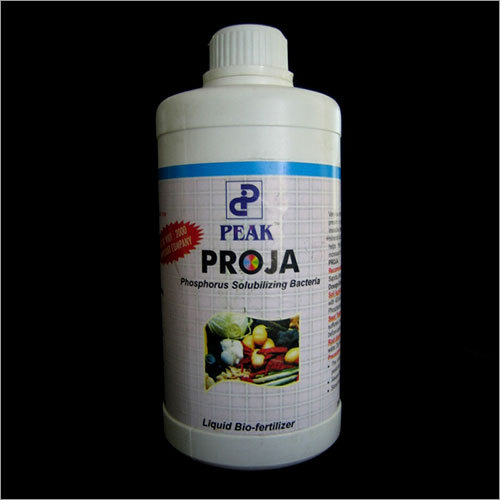 Potash Solubilising Bacteria