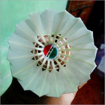 शटल कॉक