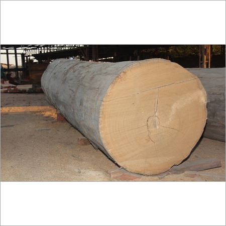 पीला मेरांति लॉग