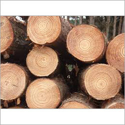 पाइनवुड लॉग्स