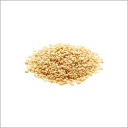 Fresh Sesame Seed