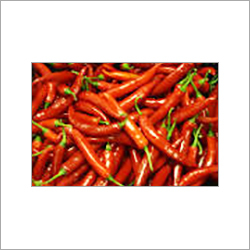 Red Chilli