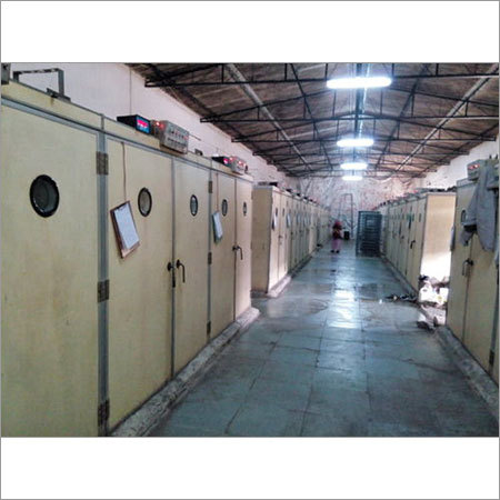 Broiler Hatching Eggs