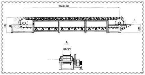 Timing Belt Conveyors