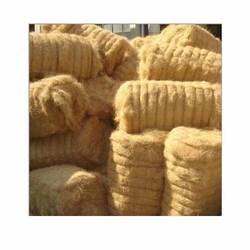 Coir Fiber