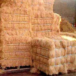 Natural Coir Fibre