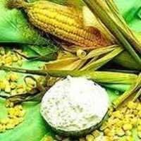 Maize Starch