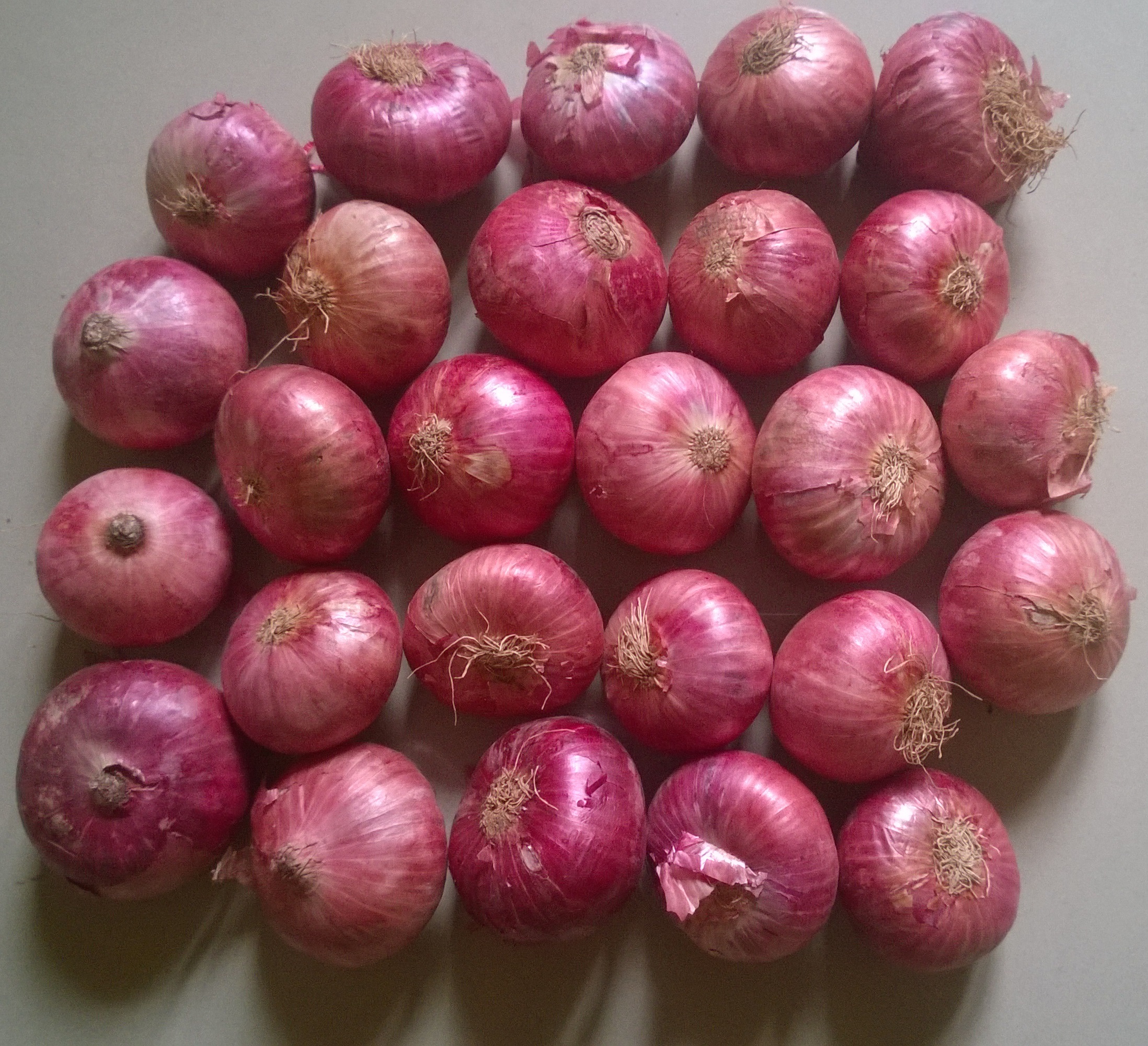 Red Onion